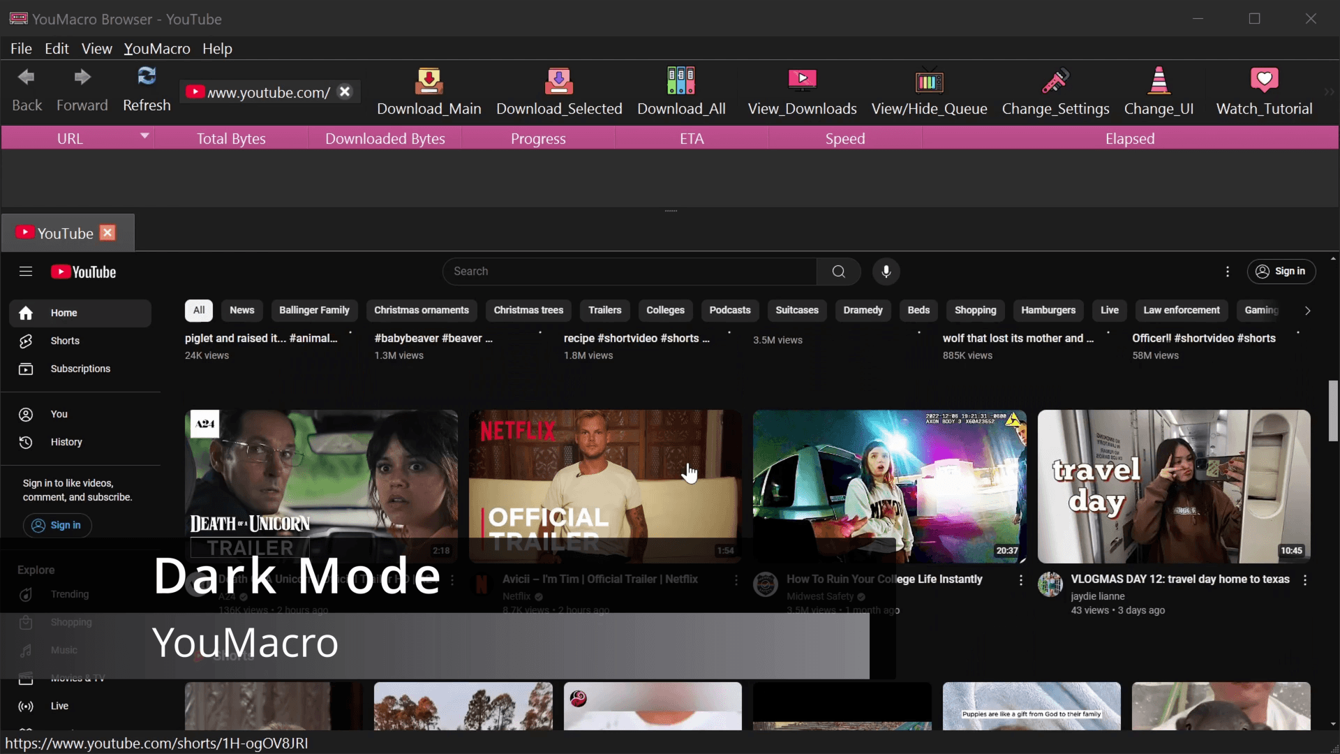 At home in light or dark mode. in YouMacro